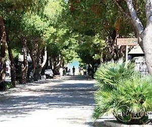 La Pineta Hotel